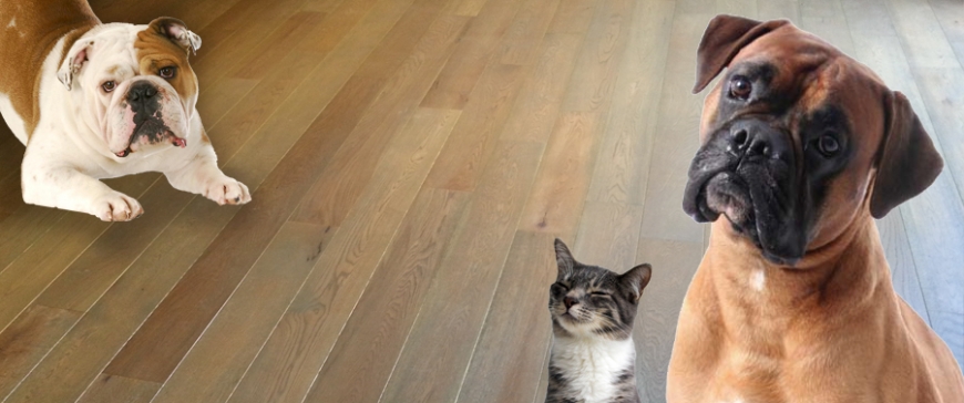 Wood Flooring and Pets