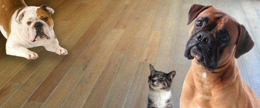 Wood Flooring and Pets